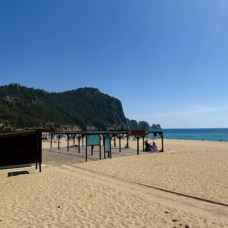 Apartment Sa Apartments! 150M To The Cleopatra Beach Alanya