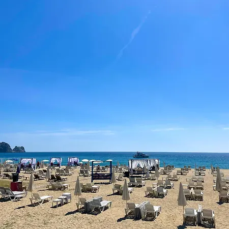 Sa Apartments! 150M To The Cleopatra Beach * Alanya